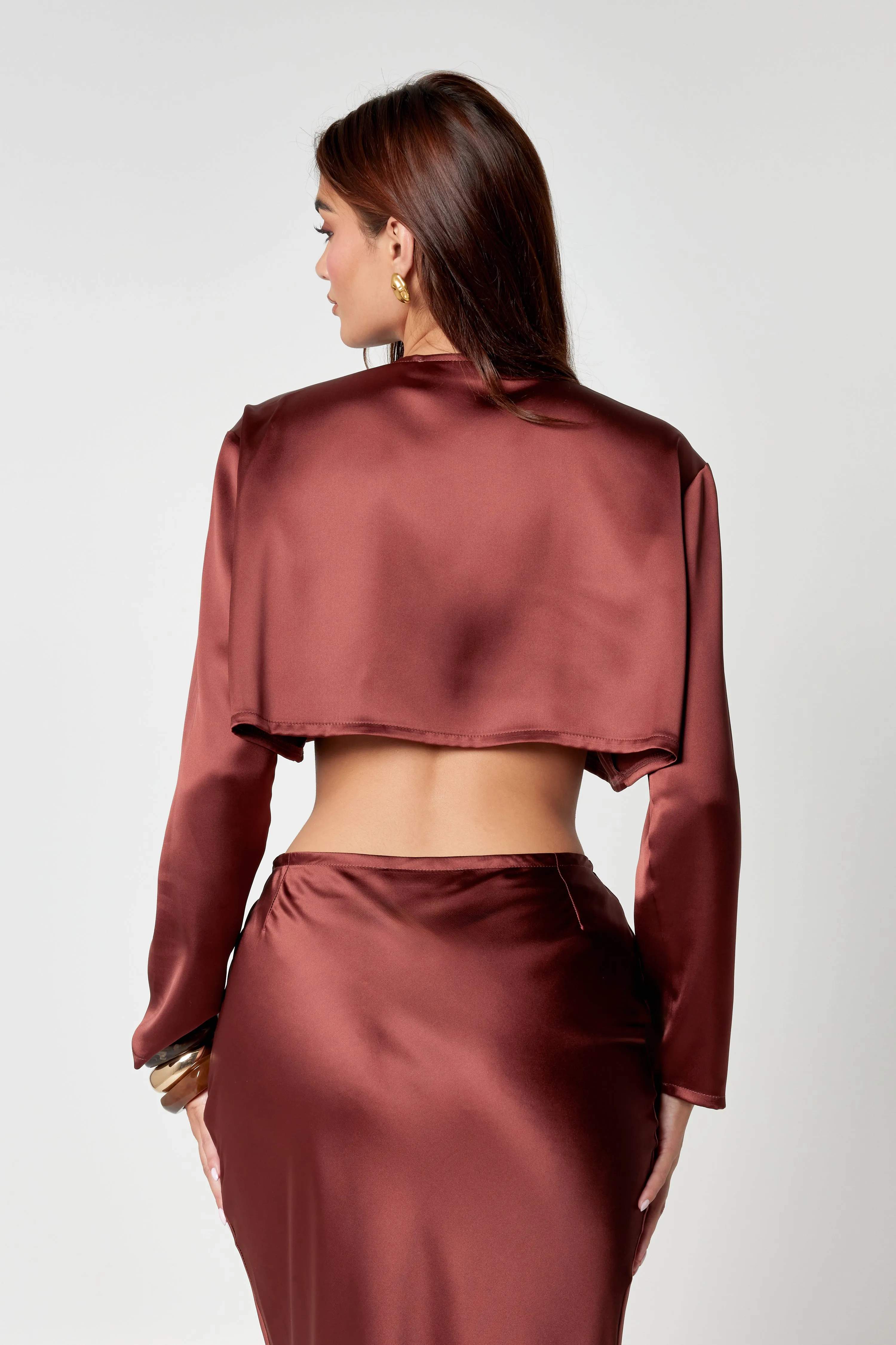 Brown Satin Blouse