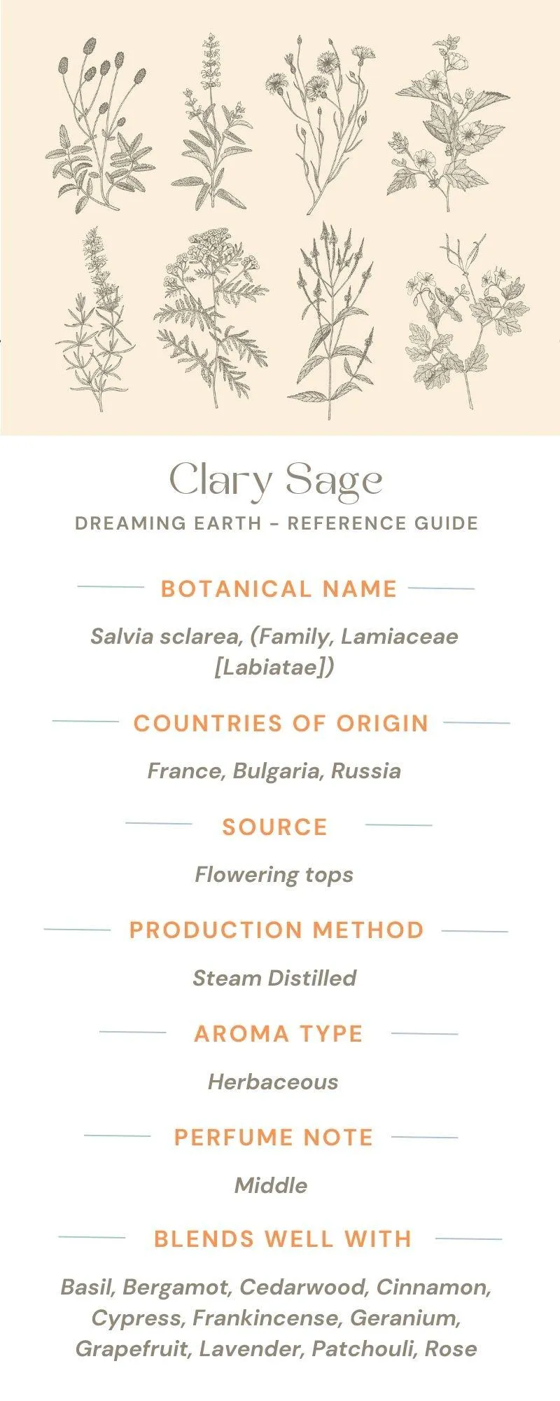 Clary Sage Essential Oil