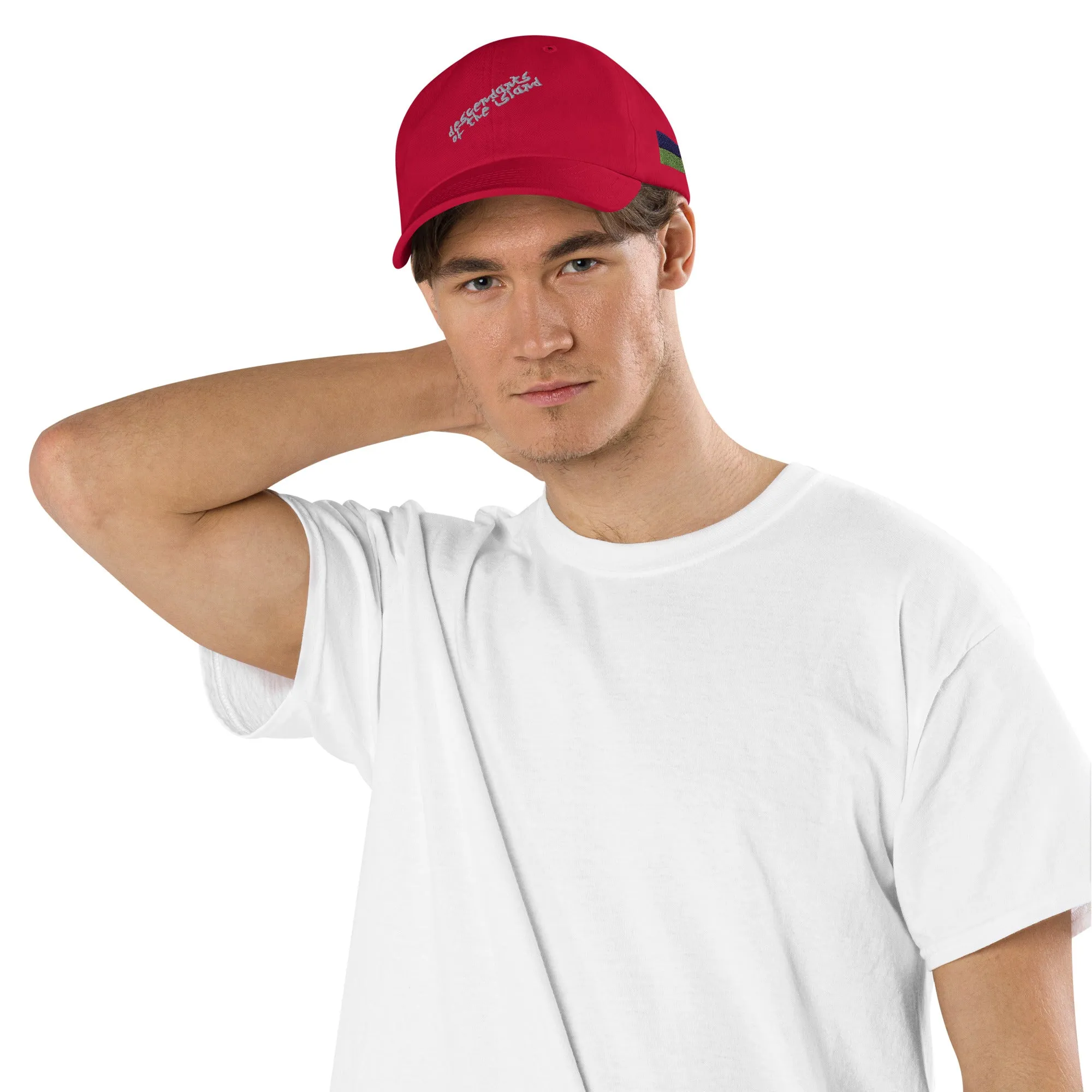 Descendants of the Island Premium Made in the USA Dad Hat