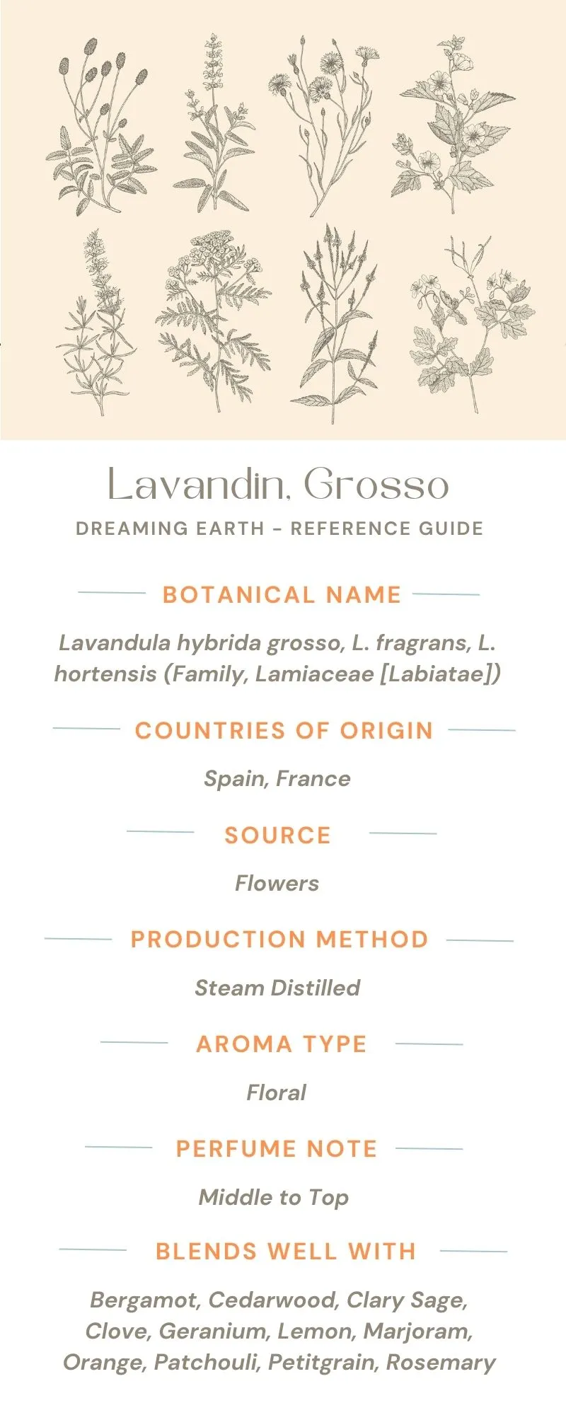 Lavandin Essential Oil