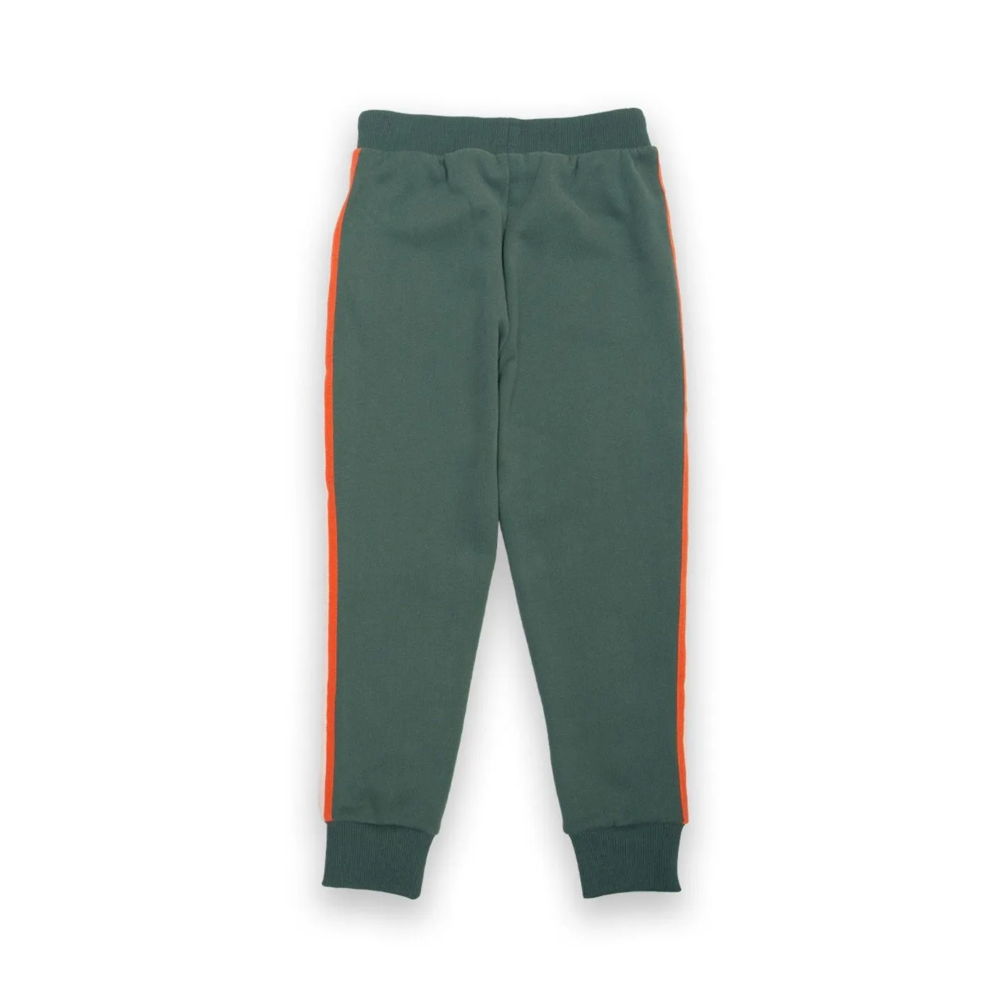 Side Stripe Joggers in Pine